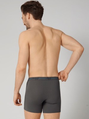 Boxer Sloggi Short 2 τεμ. Γκρι σκούρο/Ανθρακί - Image 3